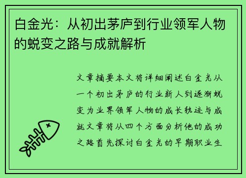 白金光：从初出茅庐到行业领军人物的蜕变之路与成就解析